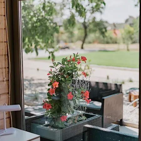 Zam-zam Apartament Zamárdi